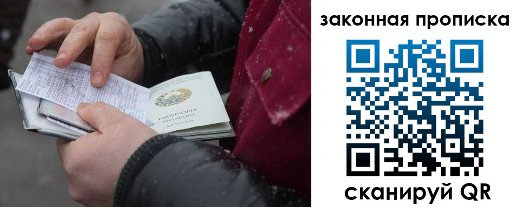 прописка поиск в Нижнекамске